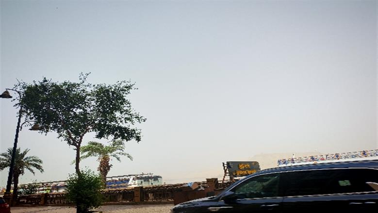 شيماء طه