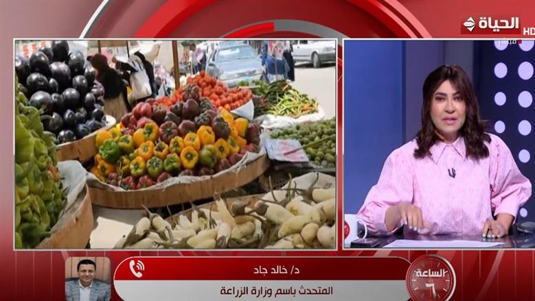الزراعة: فيديو «الطماطم والفشل الكلوي» قديم.. ونحقق أعلى درجات الأمان الغذائي