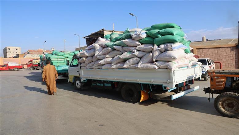 المنوفية