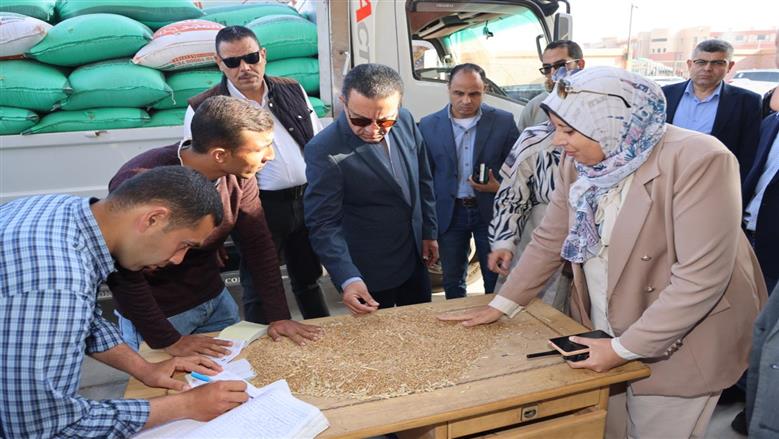 توريد 30 ألف طن من القمح إلى صوامع وشون المنوفية منذ بداية الموسم