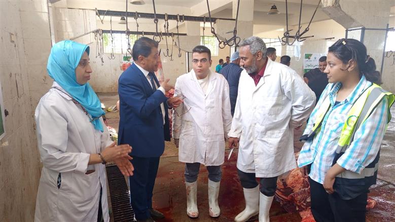 ذبح 180 عجلا بمجازر الأقصر وتوزيع اللحوم مجانا على 36 ألف أسرة بعيد الأضحى