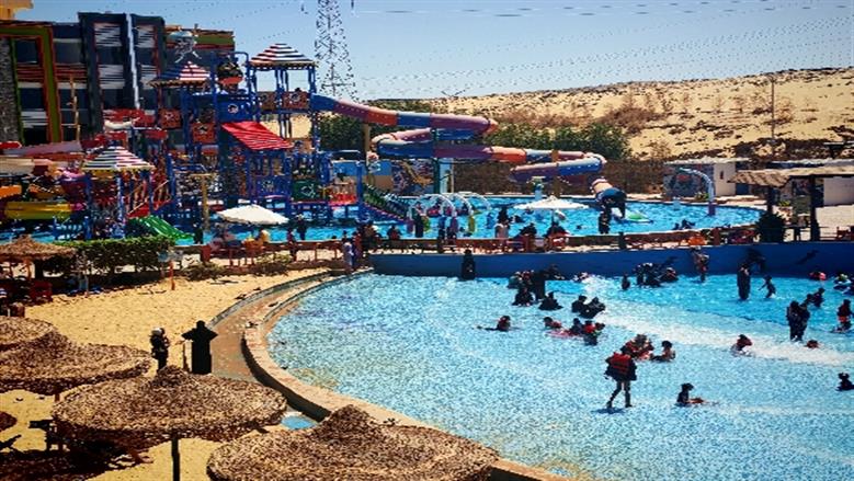 شيماء طه