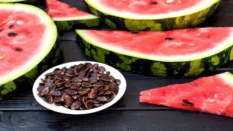 هل تناول بذور البطيخ مفيد؟.. فوائد كبيرة للقلب والدماغ والشعر