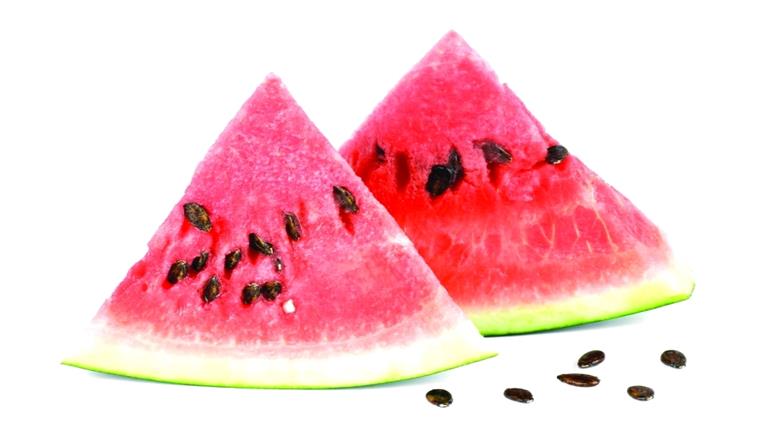 البطيخ