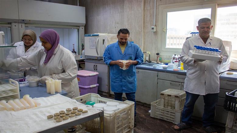 «الزراعة»: فحص 2500 عينة أغذية وحاصلات زراعية خلال أيام عيد الأضحى 