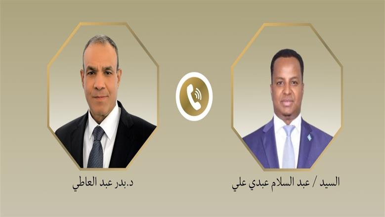 وزير الخارجية ونظيره الصومالي يبحثان تطورات الأوضاع بالصومال وتعزيز الشراكة