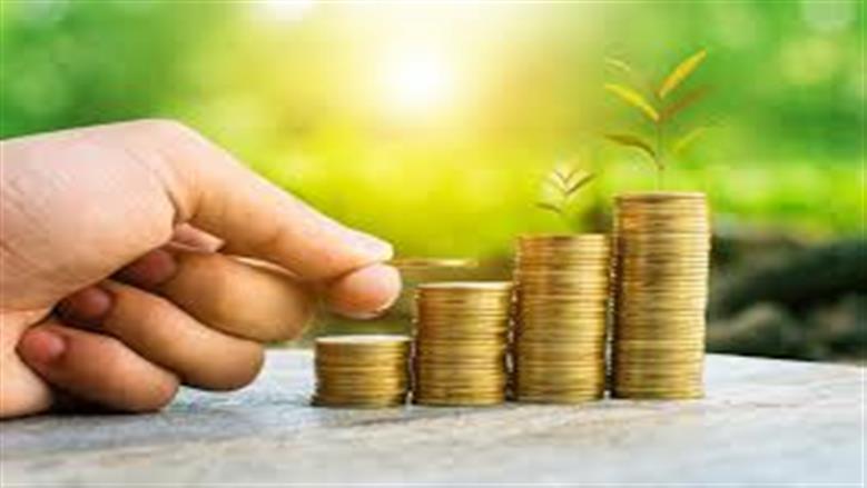 حكم إخراج زكاة المال للأقارب؟ دار الإفتاء توضح الضوابط الشرعية