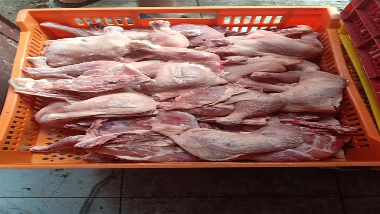 ضبط دواجن فاسدة ببورسعيد