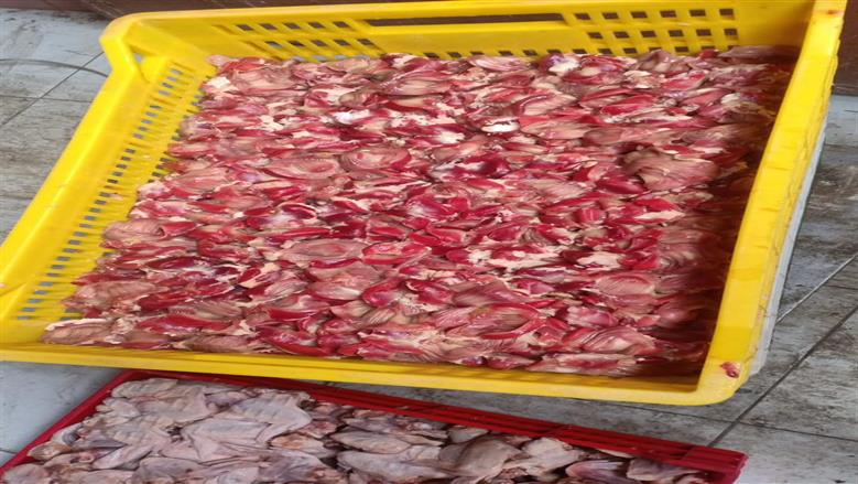 ضبط دواجن فاسدة ببورسعيد