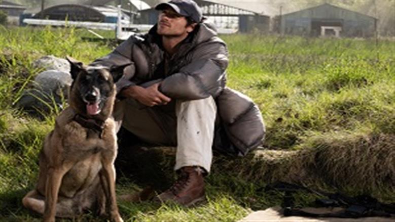 The Dog Stars