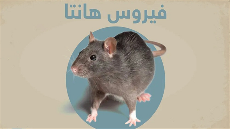  هل فيروس هانتا معد؟ الصحة العالمية تكشف أعراضه ومضاعفاته الخطيرة
