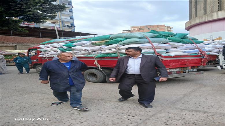 القمح 