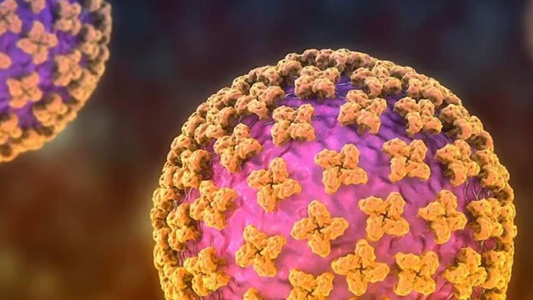 مستشار الرئيس للشؤون الصحية: لا إصابات بفيروس هانتا في مصر وانتشاره محدود عالميا