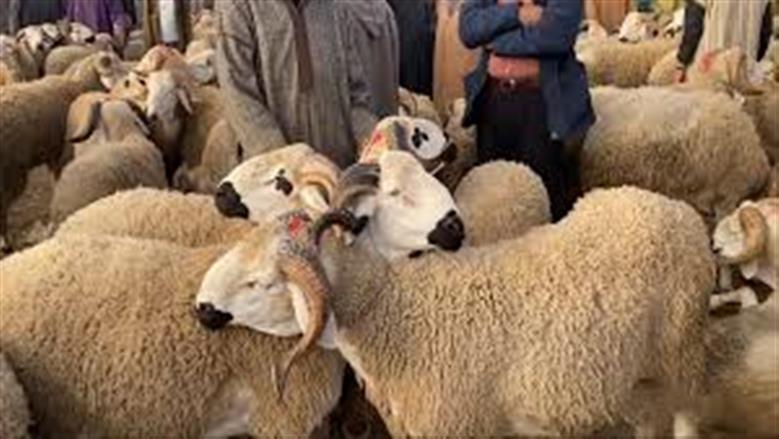 موعد وقفة عرفات وعيد الأضحى 2026.. دار الإفتاء تستطلع هلال ذي الحجة السبت المقبل