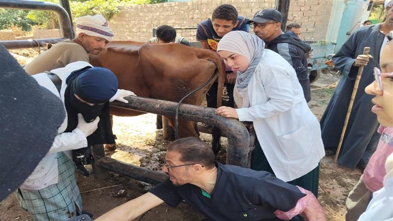 علاج 1862 رأس ماشية وتقديم خدمات بيطرية مجانية لصغار المربين في قرى أسيوط