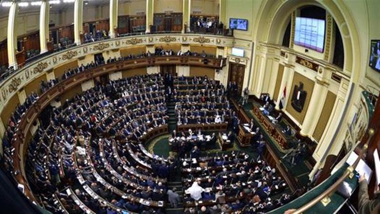 «زراعة النواب» تناقش أزمة زيادة أعداد الكلاب الضالة.. وتبحث آليات إنشاء ملاجئ لها