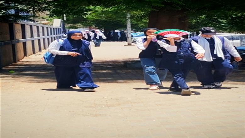 شيماء طه