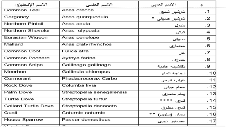 م