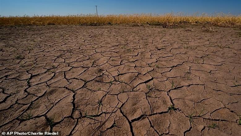 ظاهرة النينيو تعود بقوة.. مخاوف عالمية من تكرار كارثة 1877