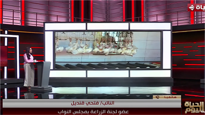 عضو بـ«زراعة النواب»: الدولة تنحاز للمواطن وتسعى لتحقيق توازن عادل في سوق البيض