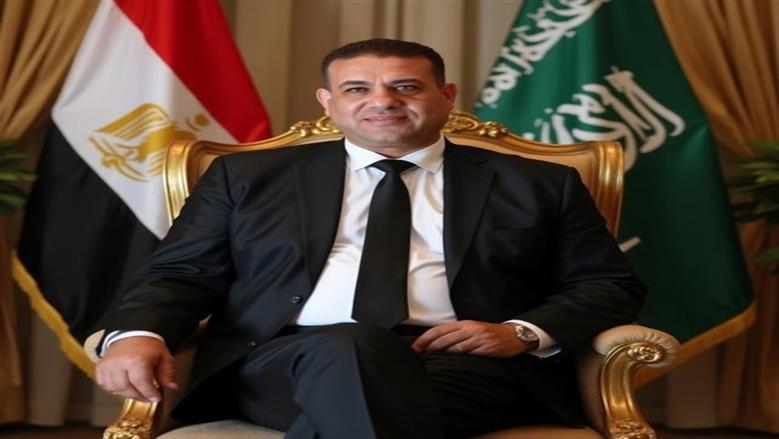 مصريون بالخارج: نثق في رؤية الدولة ولن نتخلى عن دعمها