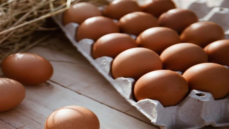 أسعار البيض اليوم