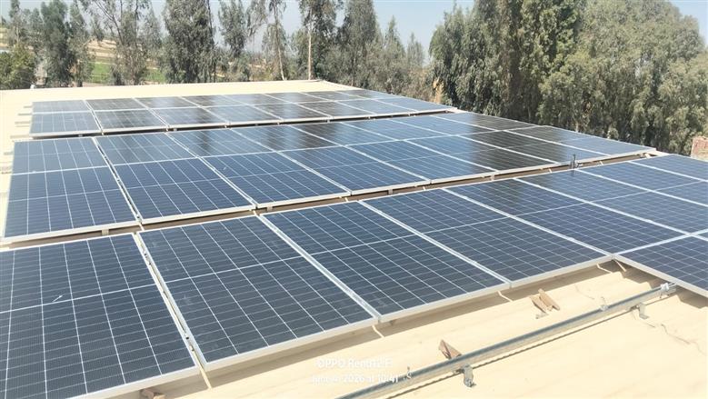 «التنمية المحلية: تركيب منظومة طاقة شمسية لوحدة تجهيز النباتات الطبية والعطرية بأسيوط