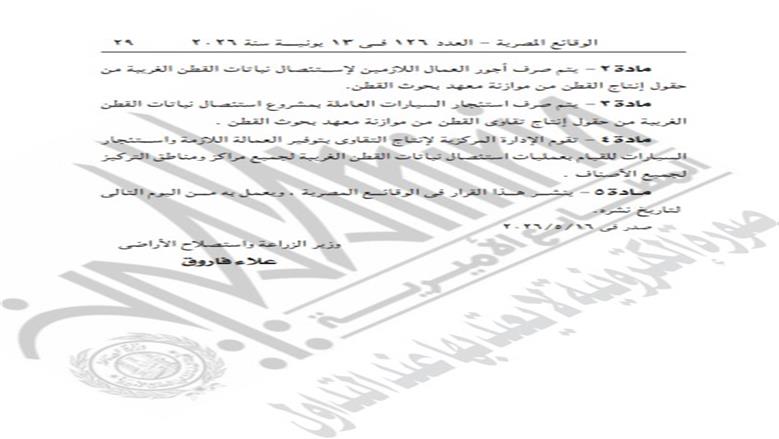 القطن