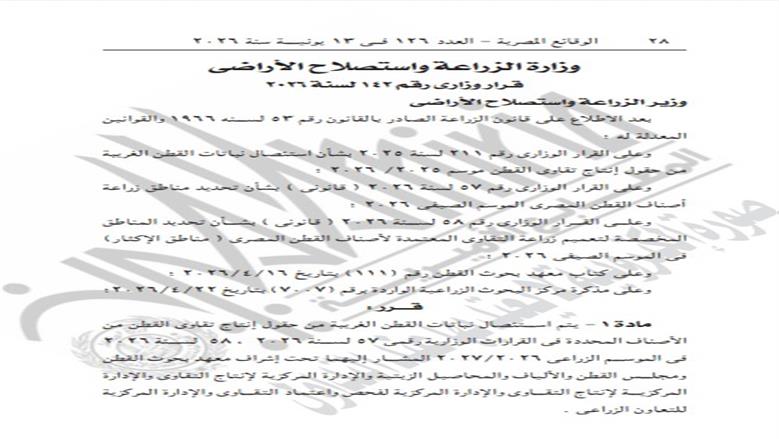 القطن