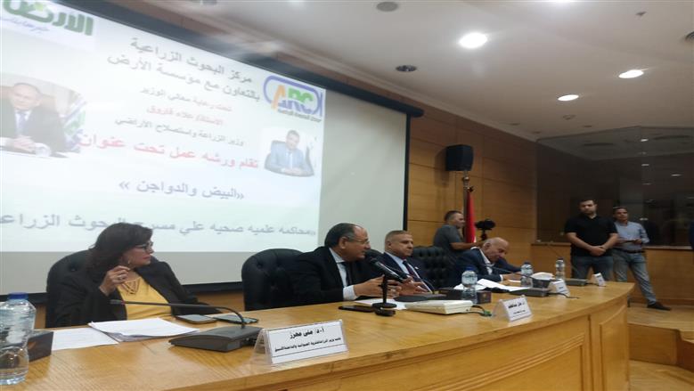 رئيس «البحوث الزراعية»: لا توجد أي مبررات علمية لحملات التشكيك في الدواجن والبيض