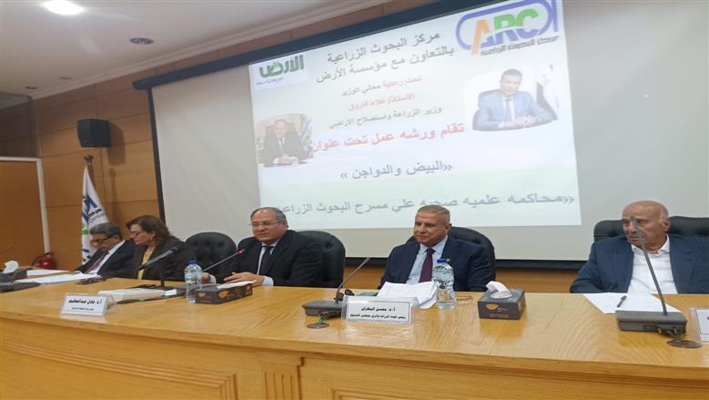  لجنة الزراعة بـ«الشيوخ» تشيد بصناعة الدواجن في مصر: نموذج ناجح للاقتصاد 