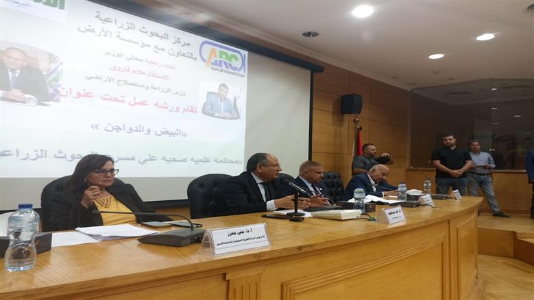  نائب وزير الزراعة السابق: دعم صناعة الدواجن استثمار مباشر في صحة المواطن