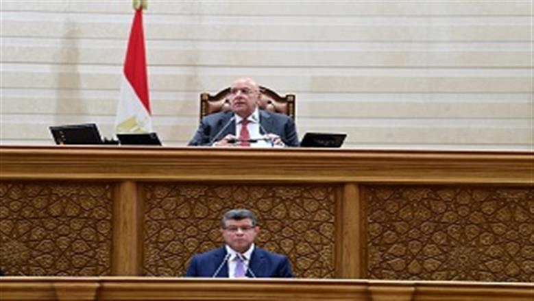 النائب محمد زين الدين يطالب بقاعدة بيانات دقيقة وحماية المستحقين قبل التحول إلى الدعم النقدي