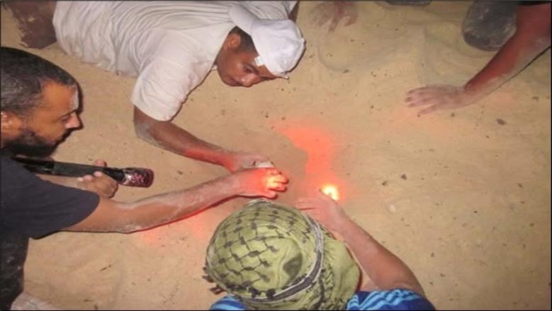 السلاحف