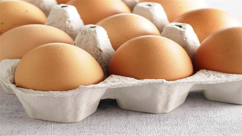 أسعار البيض اليوم