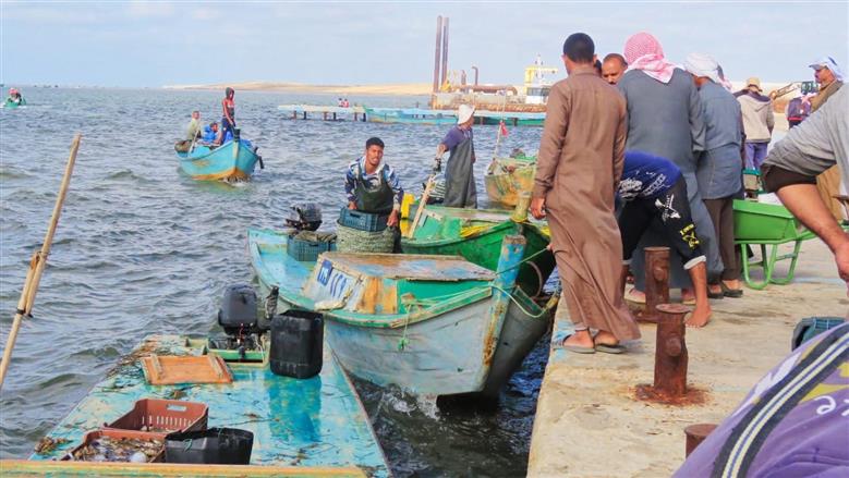 بحيرة البردويل