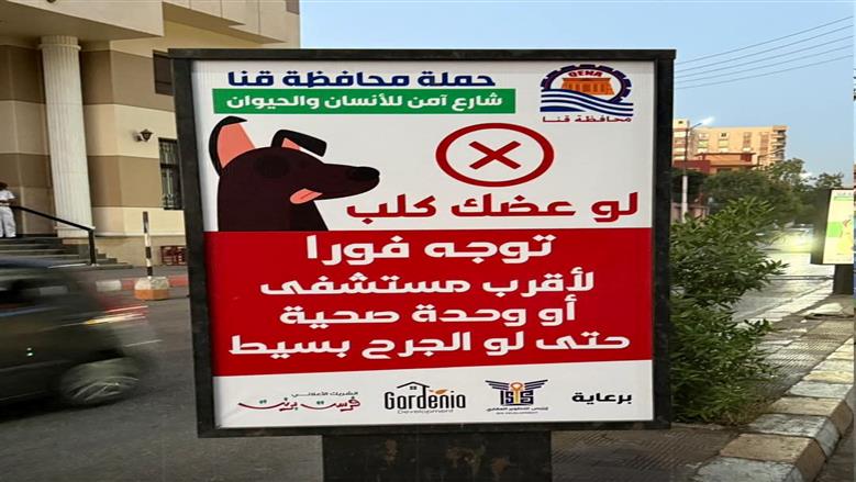 محافظ قنا: 10 دقائق زمن استجابة الخط الساخن للبلاغات الخاصة بالكلاب الضالة