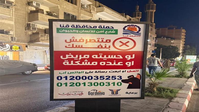 محافظة قنا تطلق حملة ميدانية للتعامل الآمن مع الكلاب الضالة