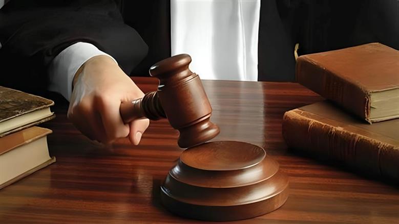 إحالة أوراق مسنة إلى مفتي الجمهورية لاتهامها بقتل زوجها في الشرقية