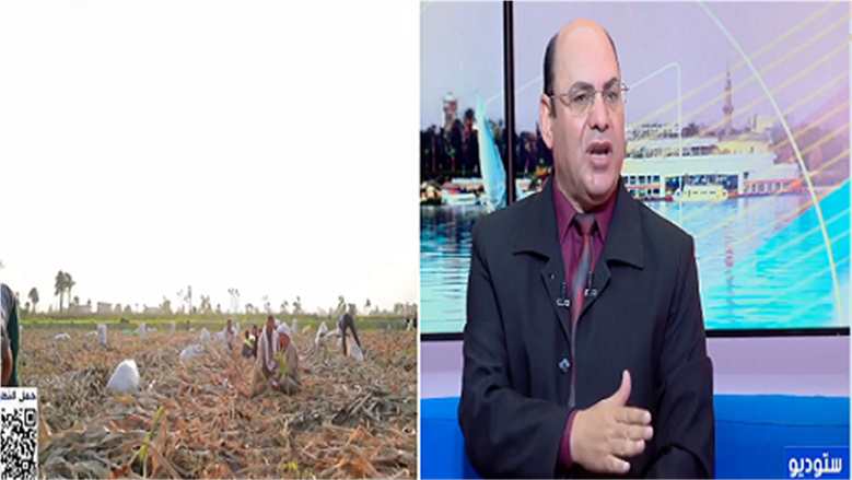 مركز البحوث الزراعية: مشروع «أجري تك فور إيجيبت» يستهدف دعم 200 ألف فلاح