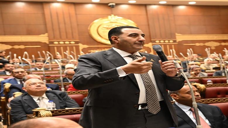 رئيس برلمانية «المؤتمر» بمجلس الشيوخ: نطالب بتشريعات حديثة لقطاع الصناعة