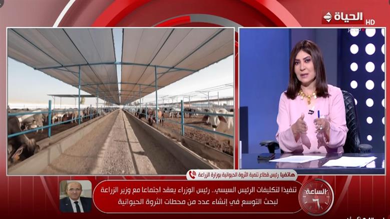 الزراعة: خطة طموحة لرفع إنتاج اللحوم والألبان عبر التحسين الوراثي والمحطات النموذجية