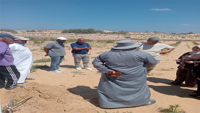 مديرية الزراعة بشمال سيناء