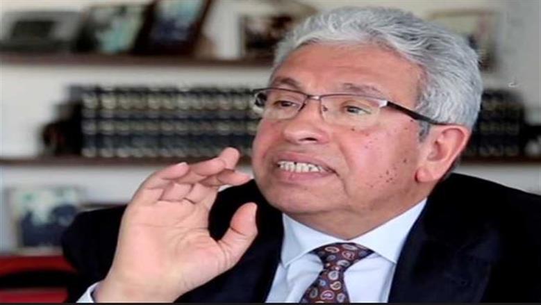 عبدالمنعم سعيد: المنطقة في حاجة لصياغة رؤية عربية متماسكة