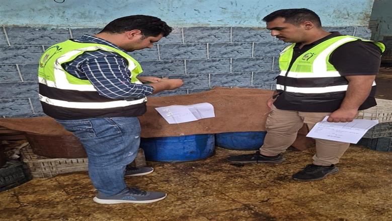 ضبط منشأة غير مرخصة ومنتجات سمكية فاسدة في حملة لـ«سلامة الغذاء» بالدقهلية