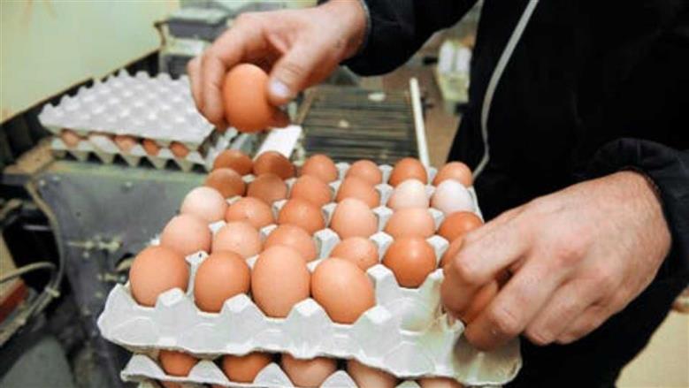 سعر كرتونة البيض في بورصة الدواجن والأسواق اليوم الخميس 25-6-2026 