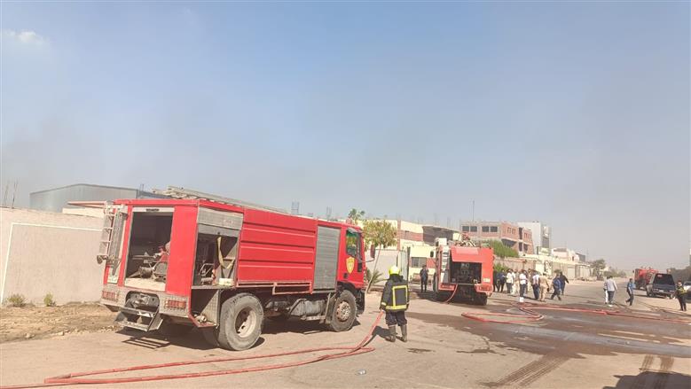 المنوفية 