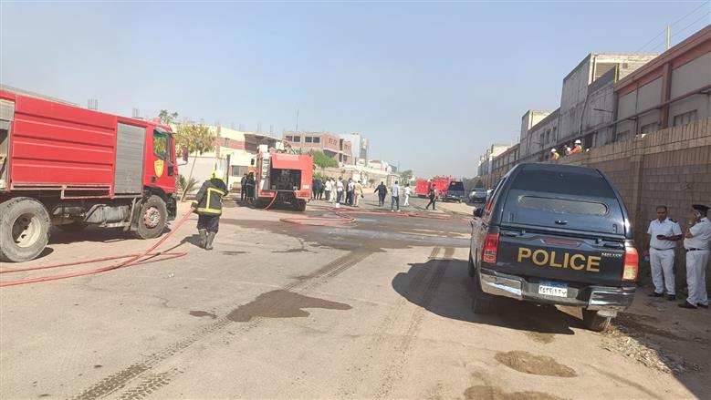 المنوفية 
