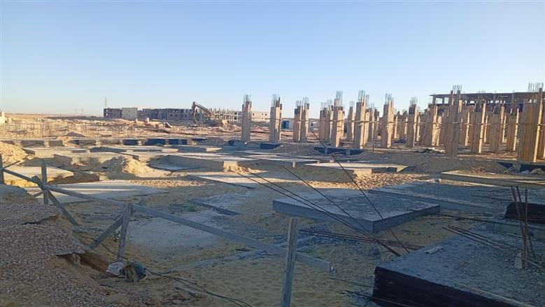 حملات  التنمية المحلية 
