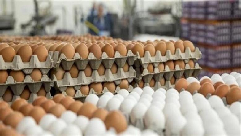 سعر كرتونة البيض في بورصة الدواجن اليوم الأحد 28-6-2026 بالمزرعة وللمستهلك
